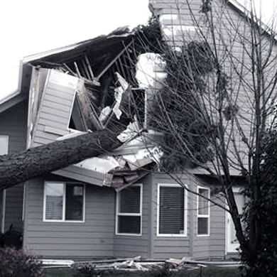 If your home was damaged, we can work with you and your insurance company to get your home rebuilt fast.